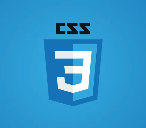 CSS