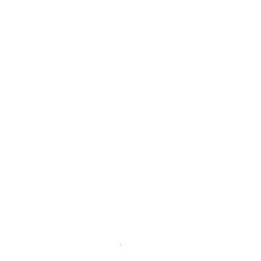 IT-Optimization